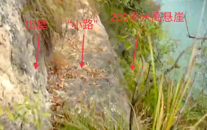 家冒死进入揭开一个埋藏2300多年的秘密ayx爱游戏app三峡绝壁惊现黄金洞专(图11)
