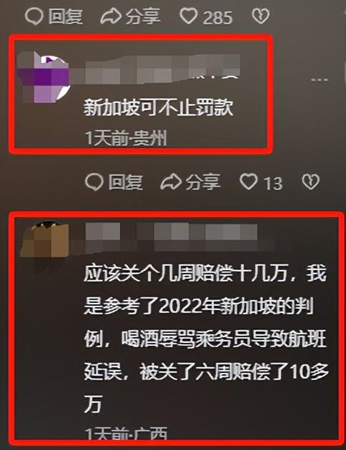 ：回应更多细节曝光网友说是“惯犯”爱游戏网站入口女子逼停飞机新后续(图11)
